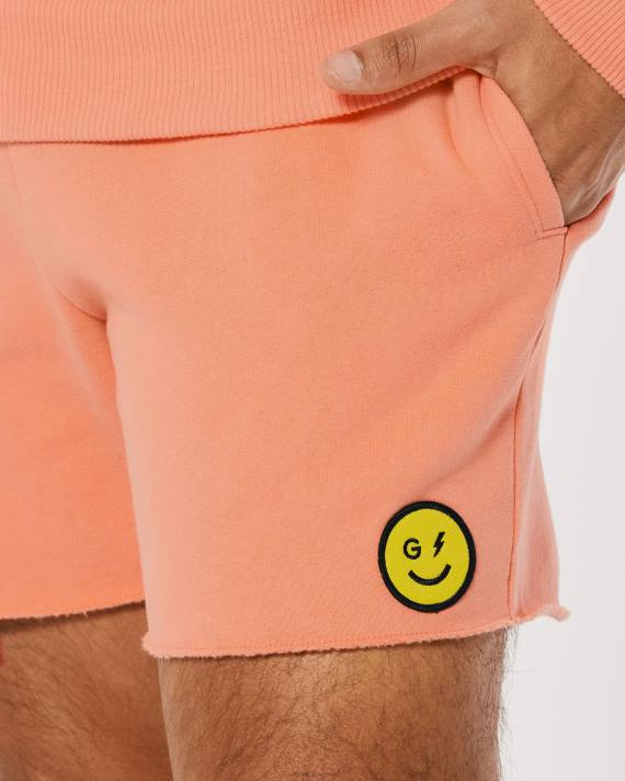 Hollister Kvinder gilly hicks smile-serie fleeceshorts med logo 2H8Z1410 bunde koral
