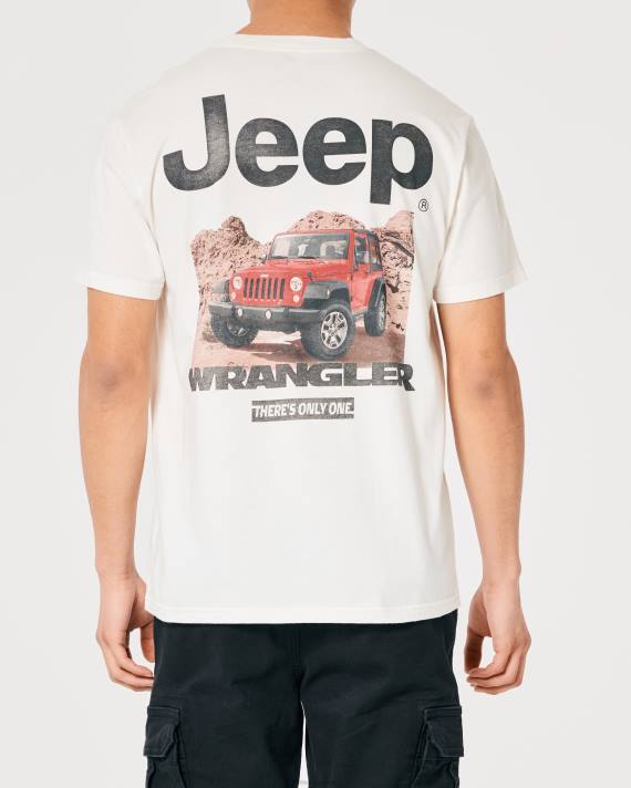 Hollister Kvinder afslappet jeep grafisk t-shirt 2H8Z162 toppe off white-jeep