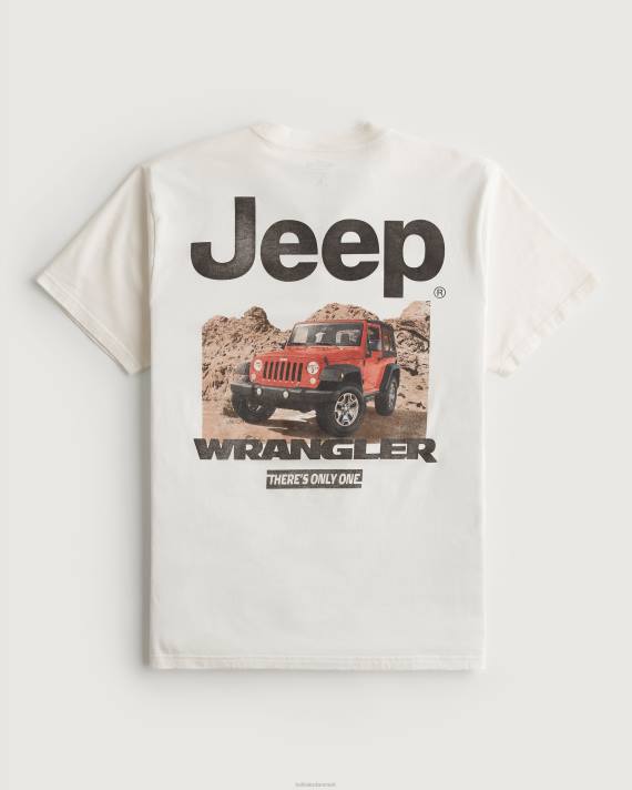 Hollister Kvinder afslappet jeep grafisk t-shirt 2H8Z162 toppe off white-jeep
