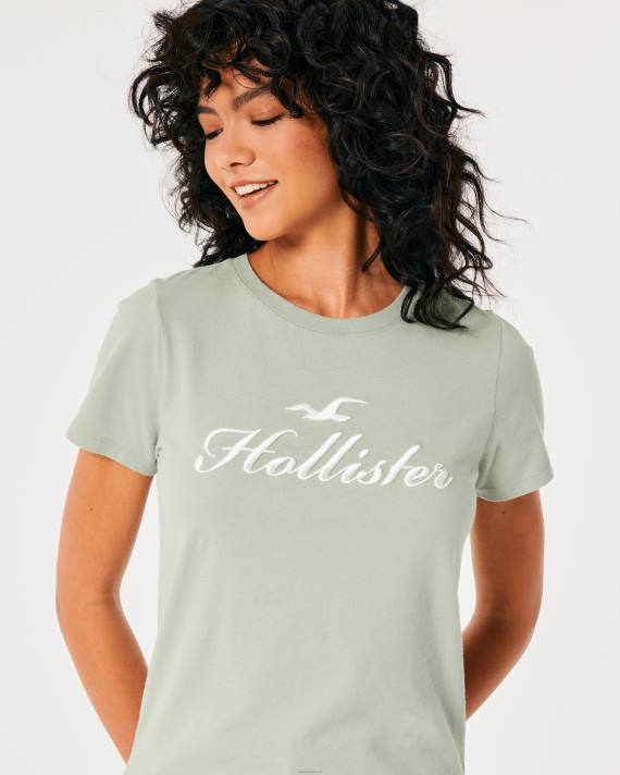 Hollister Kvinder let logo grafisk t-shirt 2H8Z207 toppe salvie grøn