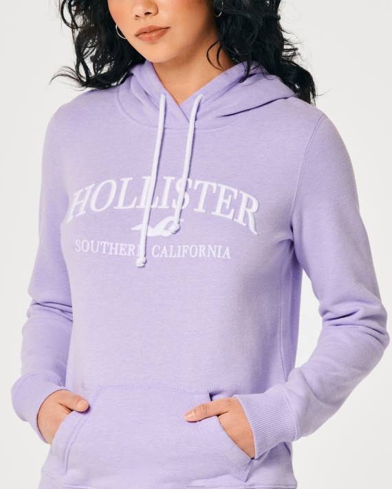 Hollister Kvinder let logo grafisk hættetrøje 2H8Z155 toppe lilla