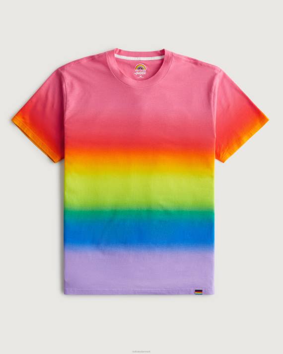 Hollister Kvinder pride afslappet ombre crew t-shirt 2H8Z176 toppe multi