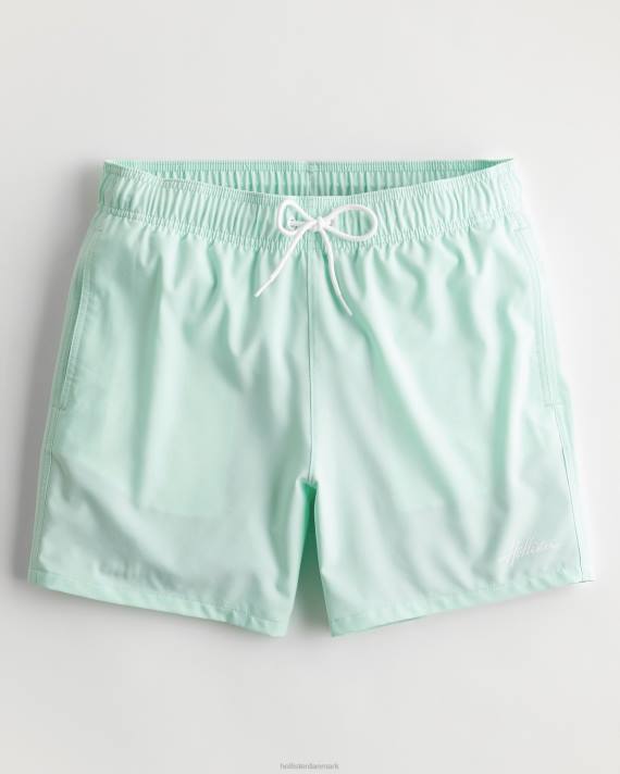 Hollister Mænd guard badebukser 5'' 2H8Z1112 bunde mynte