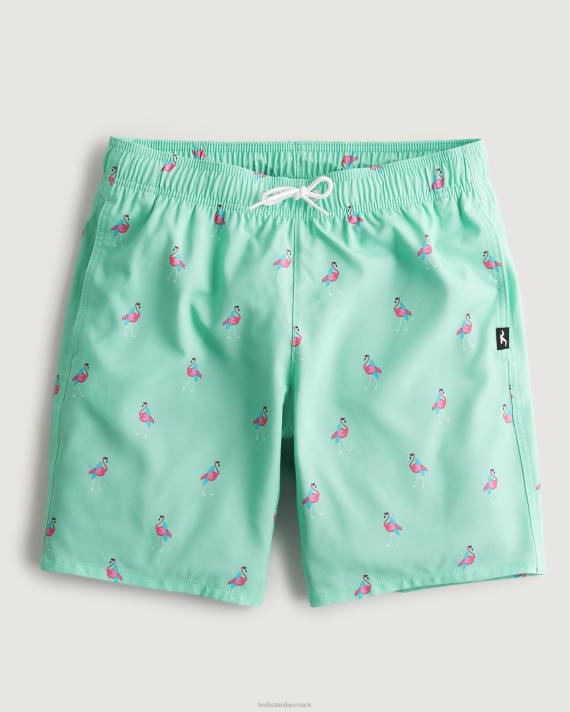 Hollister Mænd guard badebukser 7'' 2H8Z1395 bunde mønttryk