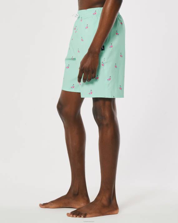 Hollister Mænd guard badebukser 7\'\' 2H8Z1395 bunde mønttryk