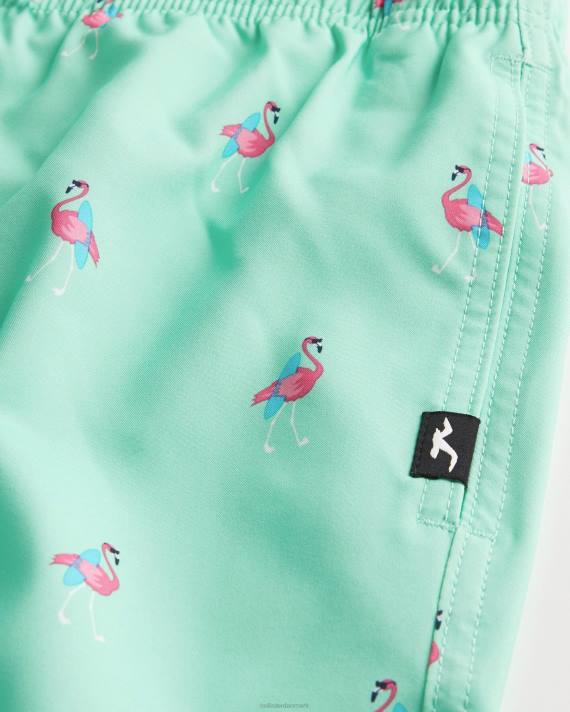 Hollister Mænd guard badebukser 7\'\' 2H8Z1395 bunde mønttryk