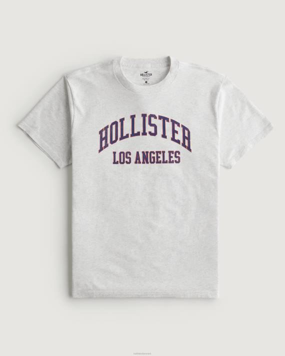 Hollister Mænd afslappet varsity logo grafisk t-shirt 2H8Z1078 toppe lys gråmeleret