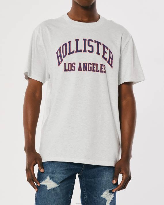 Hollister Mænd afslappet varsity logo grafisk t-shirt 2H8Z1078 toppe lys gråmeleret