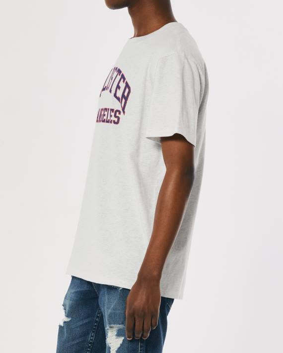 Hollister Mænd afslappet varsity logo grafisk t-shirt 2H8Z1078 toppe lys gråmeleret