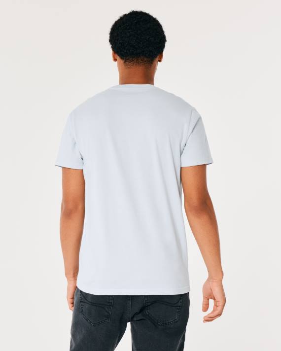 Hollister Mænd blomstret logo grafisk t-shirt 2H8Z1056 toppe lyseblå