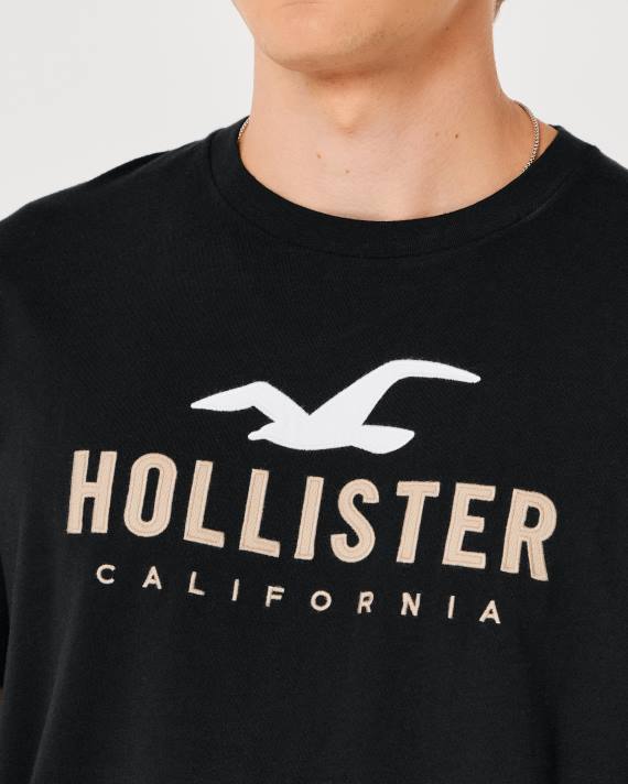 Hollister Mænd grafisk t-shirt med buet søm 2H8Z862 toppe sort