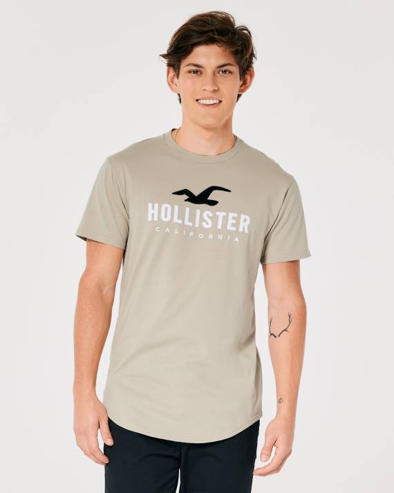 Hollister Mænd grafisk t-shirt med buet søm 2H8Z868 toppe tan