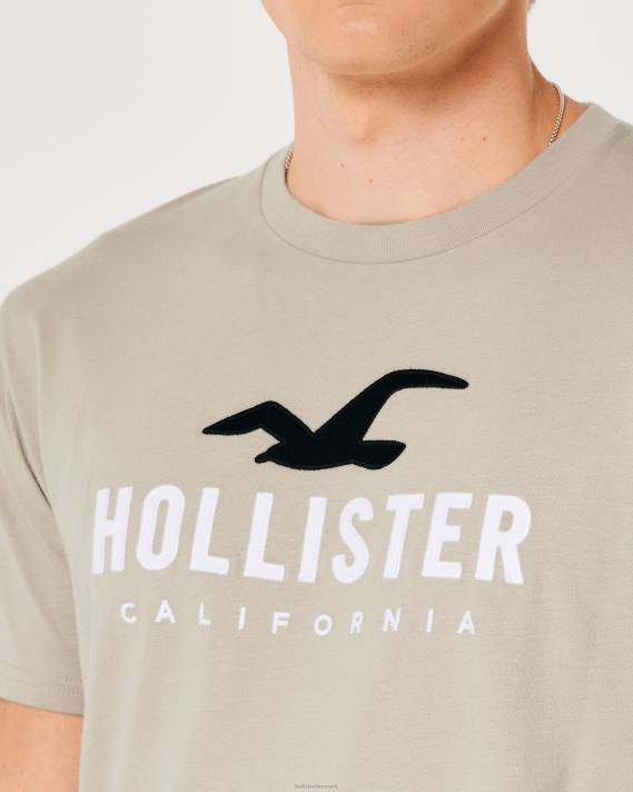 Hollister Mænd grafisk t-shirt med buet søm 2H8Z868 toppe tan