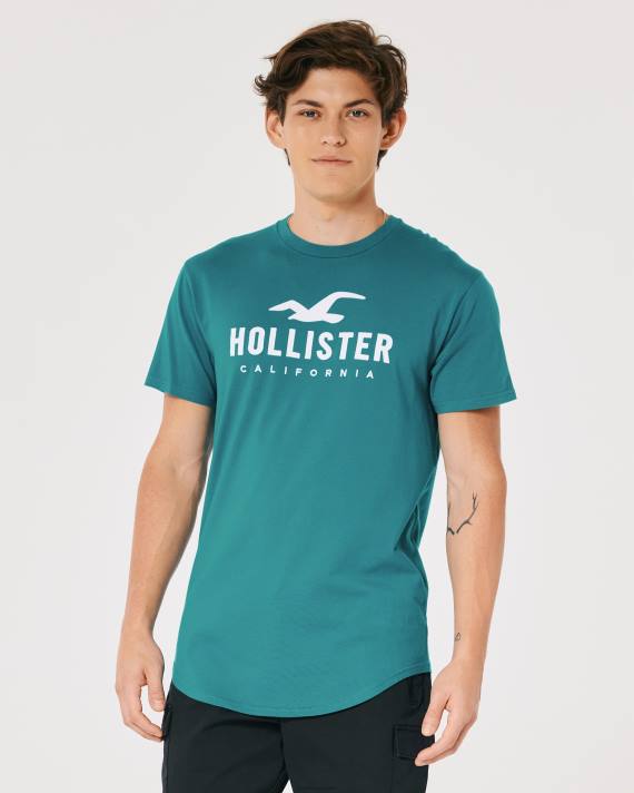 Hollister Mænd grafisk t-shirt med buet søm 2H8Z870 toppe mørk krikand