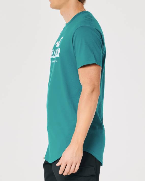 Hollister Mænd grafisk t-shirt med buet søm 2H8Z870 toppe mørk krikand