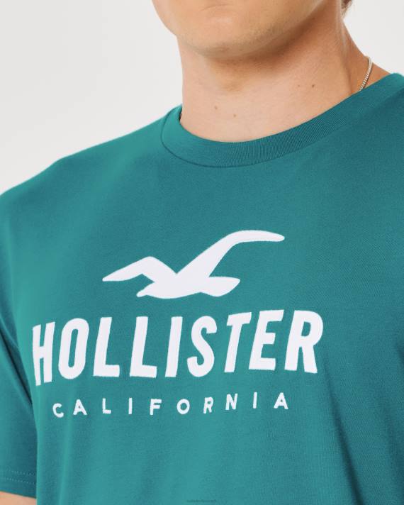 Hollister Mænd grafisk t-shirt med buet søm 2H8Z870 toppe mørk krikand