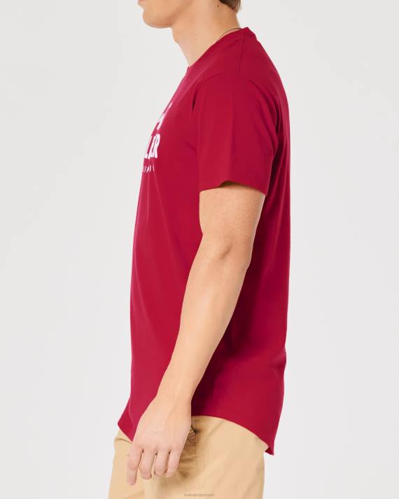 Hollister Mænd grafisk t-shirt med buet søm 2H8Z926 toppe rød