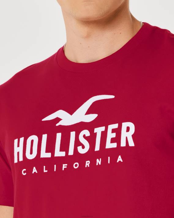 Hollister Mænd grafisk t-shirt med buet søm 2H8Z926 toppe rød