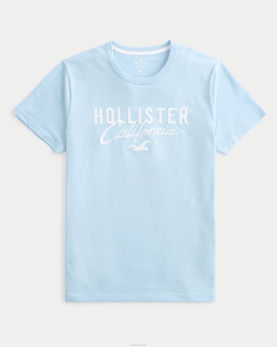 Hollister Mænd logo grafisk t-shirt 2H8Z946 toppe lyseblå
