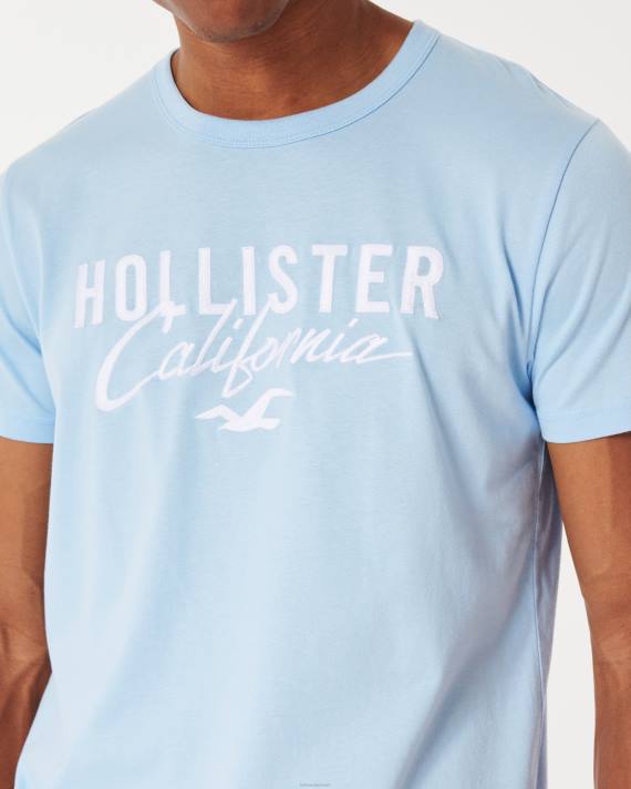 Hollister Mænd logo grafisk t-shirt 2H8Z946 toppe lyseblå