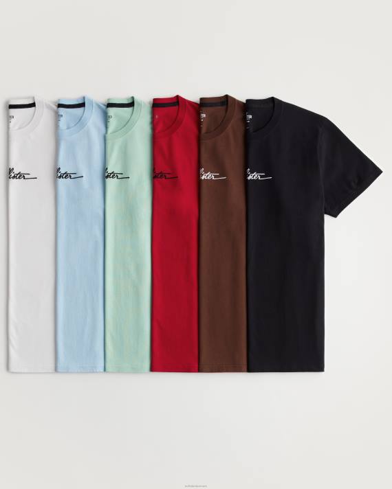 Hollister Mænd logo grafisk t-shirt 6-pak 2H8Z908 toppe logo multi-6 pakke