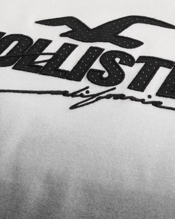 Hollister Mænd mesh logo applikation ombre grafisk t-shirt 2H8Z850 toppe hvid til sort ombre
