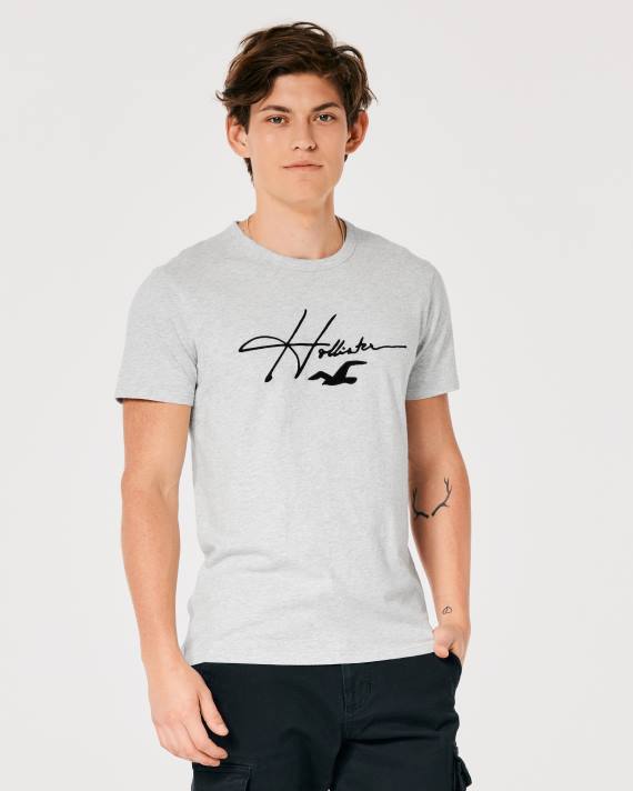 Hollister Mænd signatur logo grafisk t-shirt 2H8Z891 toppe lys gråmeleret