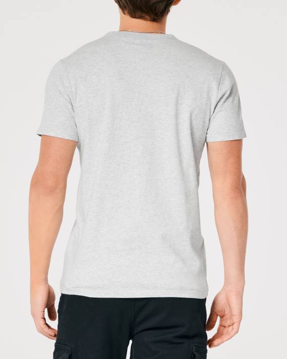 Hollister Mænd signatur logo grafisk t-shirt 2H8Z891 toppe lys gråmeleret