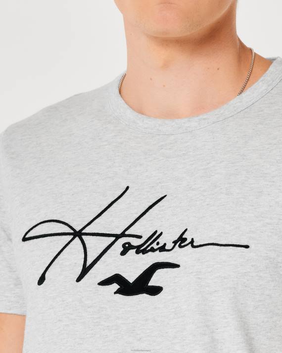 Hollister Mænd signatur logo grafisk t-shirt 2H8Z891 toppe lys gråmeleret