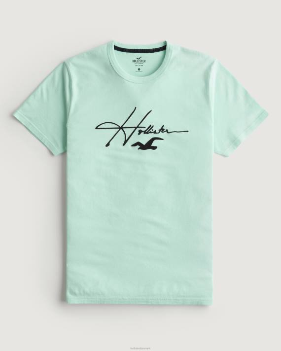 Hollister Mænd signatur logo grafisk t-shirt 2H8Z927 toppe mynte