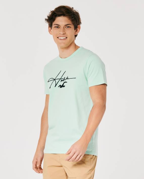 Hollister Mænd signatur logo grafisk t-shirt 2H8Z927 toppe mynte