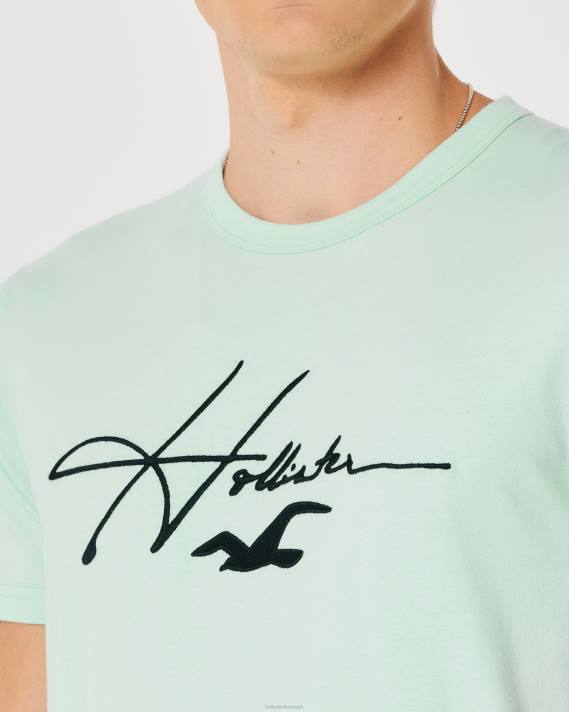 Hollister Mænd signatur logo grafisk t-shirt 2H8Z927 toppe mynte