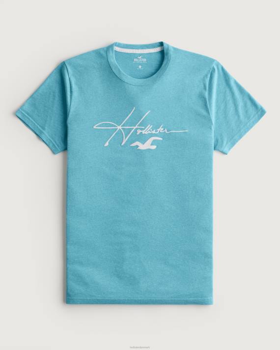 Hollister Mænd signatur logo grafisk t-shirt 2H8Z982 toppe lys lyngblå