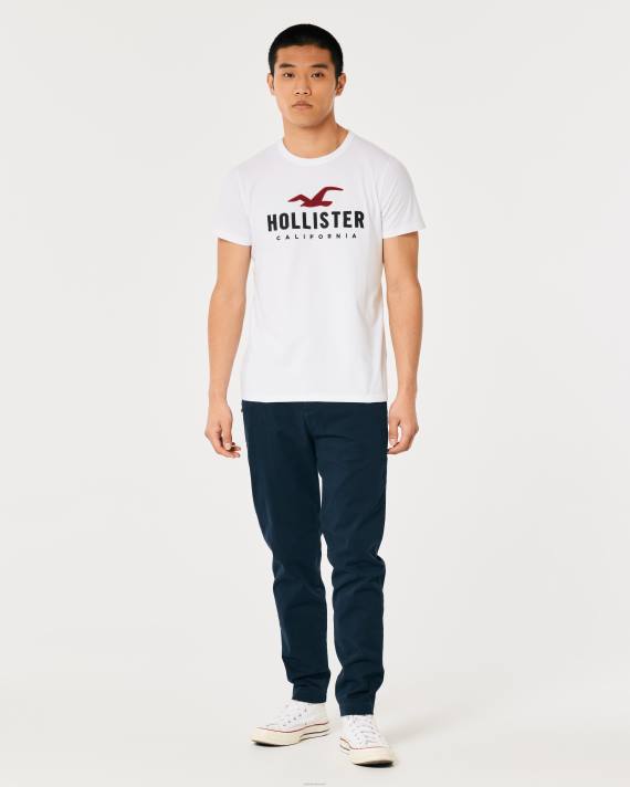 Hollister Mænd signatur logo grafisk t-shirt 2H8Z982 toppe lys lyngblå