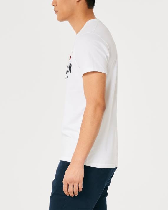 Hollister Mænd signatur logo grafisk t-shirt 2H8Z982 toppe lys lyngblå
