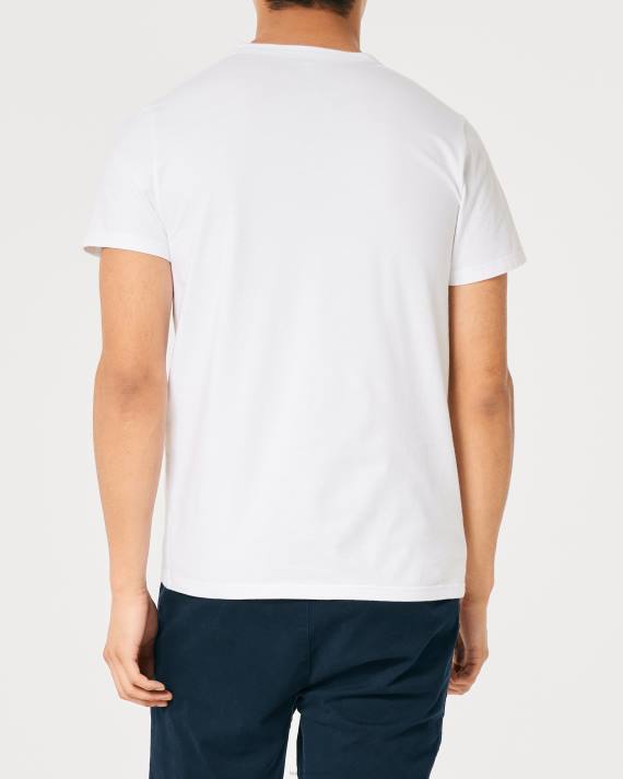 Hollister Mænd signatur logo grafisk t-shirt 2H8Z982 toppe lys lyngblå