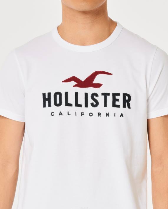 Hollister Mænd signatur logo grafisk t-shirt 2H8Z982 toppe lys lyngblå