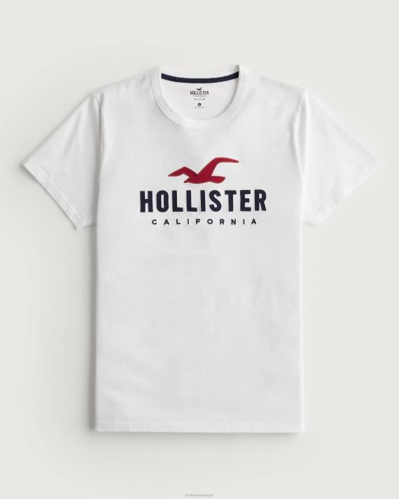 Hollister Mænd signatur logo grafisk t-shirt 2H8Z982 toppe lys lyngblå