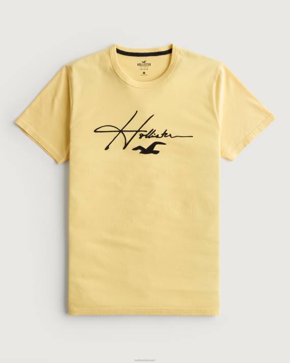 Hollister Mænd signatur logo grafisk t-shirt 2H8Z995 toppe gul