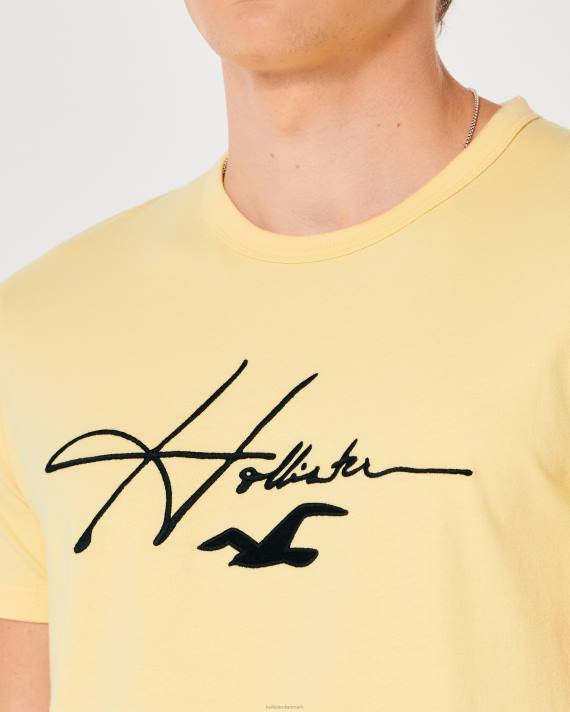 Hollister Mænd signatur logo grafisk t-shirt 2H8Z995 toppe gul
