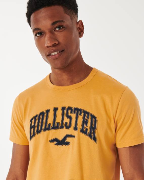 Hollister Mænd varsity logo grafisk t-shirt 2H8Z885 toppe mørkegul
