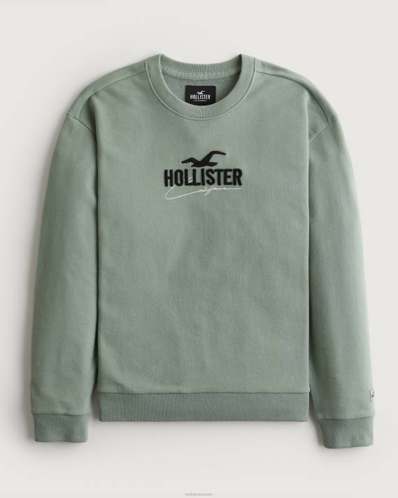 Hollister Mænd afslappet logo crew sweatshirt 2H8Z845 toppe salvie