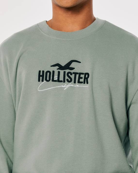 Hollister Mænd afslappet logo crew sweatshirt 2H8Z845 toppe salvie