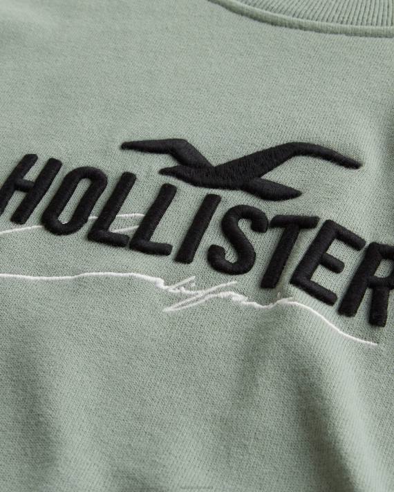 Hollister Mænd afslappet logo crew sweatshirt 2H8Z845 toppe salvie