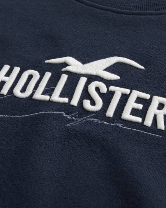 Hollister Mænd afslappet logo crew sweatshirt 2H8Z865 toppe flåde