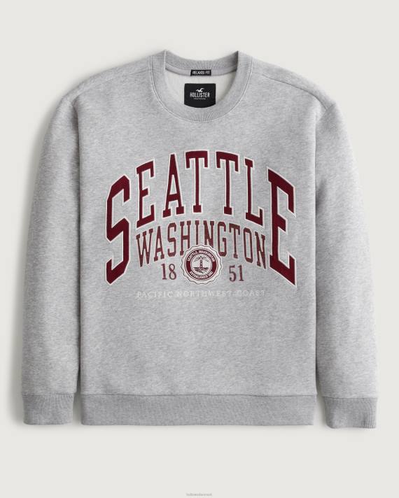 Hollister Mænd afslappet seattle grafisk sweatshirt 2H8Z963 toppe gråmeleret