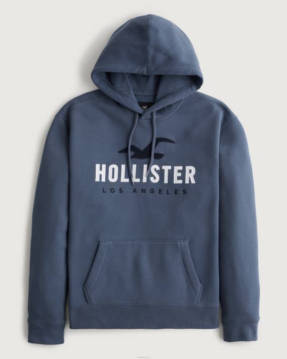 Hollister Mænd logo grafisk hættetrøje 2H8Z984 toppe flåde