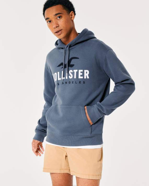 Hollister Mænd logo grafisk hættetrøje 2H8Z984 toppe flåde