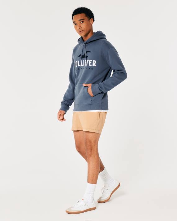 Hollister Mænd logo grafisk hættetrøje 2H8Z984 toppe flåde