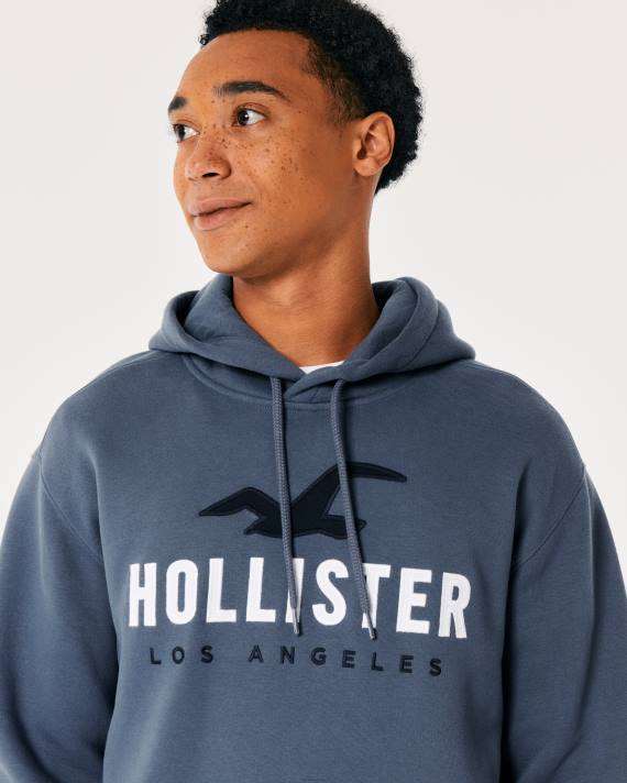 Hollister Mænd logo grafisk hættetrøje 2H8Z984 toppe flåde